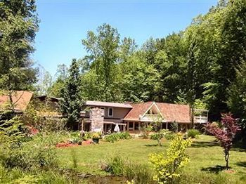 Rock Laurel Bed And Breakfast Candler Exteriér fotografie